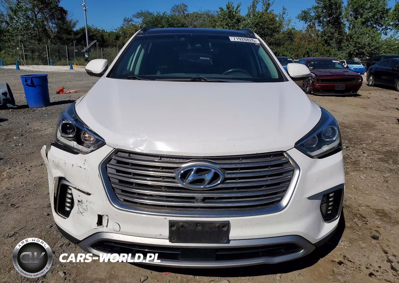 2017 Hyundai Santa Fe Limited Ultimate VIN:KM8SRDHFXHU236850 - 5