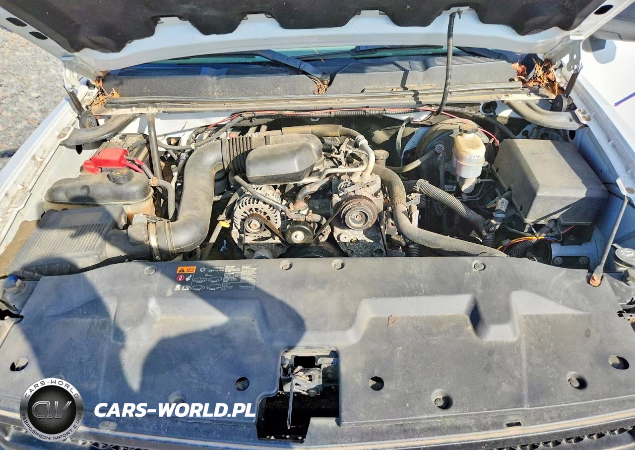 2012 Chevrolet Silverado C1500 VIN:1GCNCPEX6CZ152909 - 11
