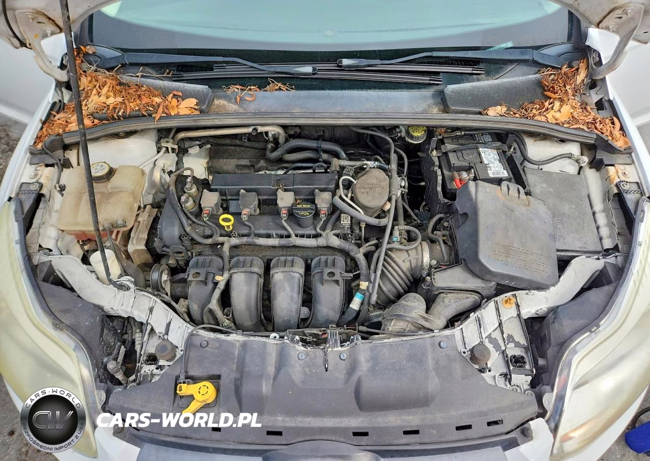2013 Ford Focus Se VIN:1FADP3F20DL157092 - 11