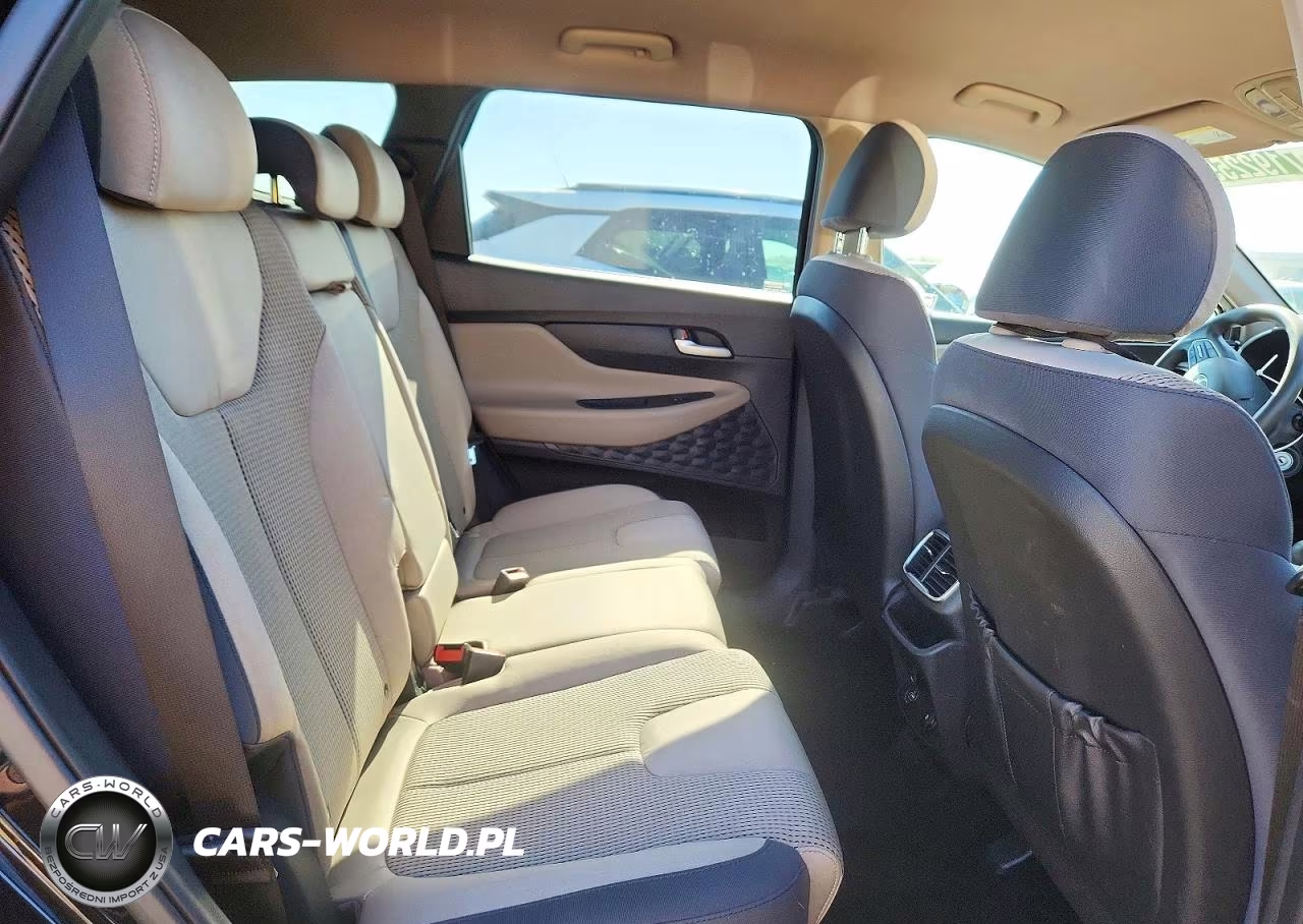 2019 Hyundai Santa Fe Se VIN:5NMS23AD7KH131029 - 10
