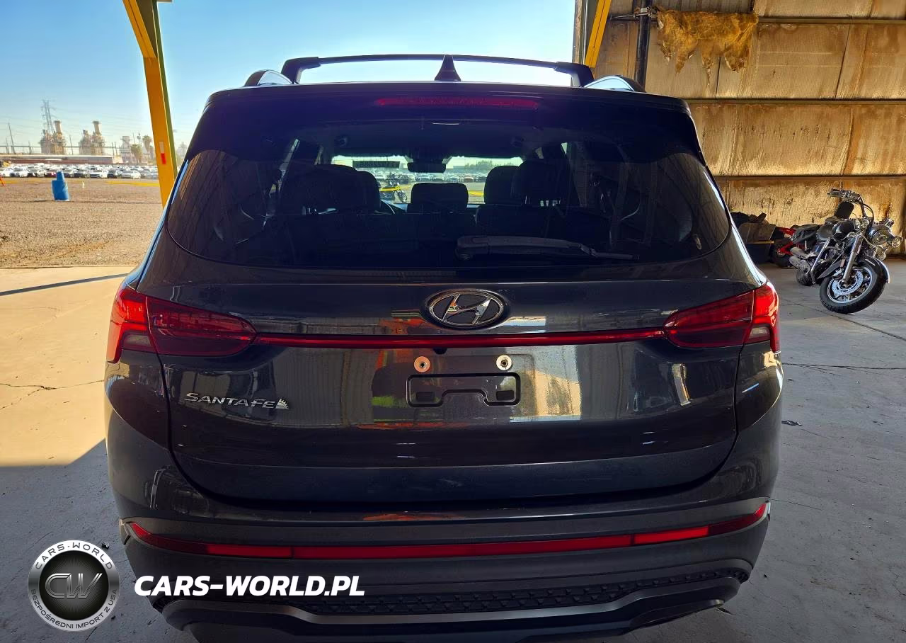 2022 Hyundai Santa Fe Xrt VIN:5NMS64AJ1NH409296 - 6