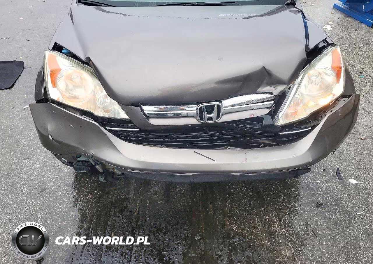 2009 Honda Cr-V Exl VIN:5J6RE38759L005423 - 12