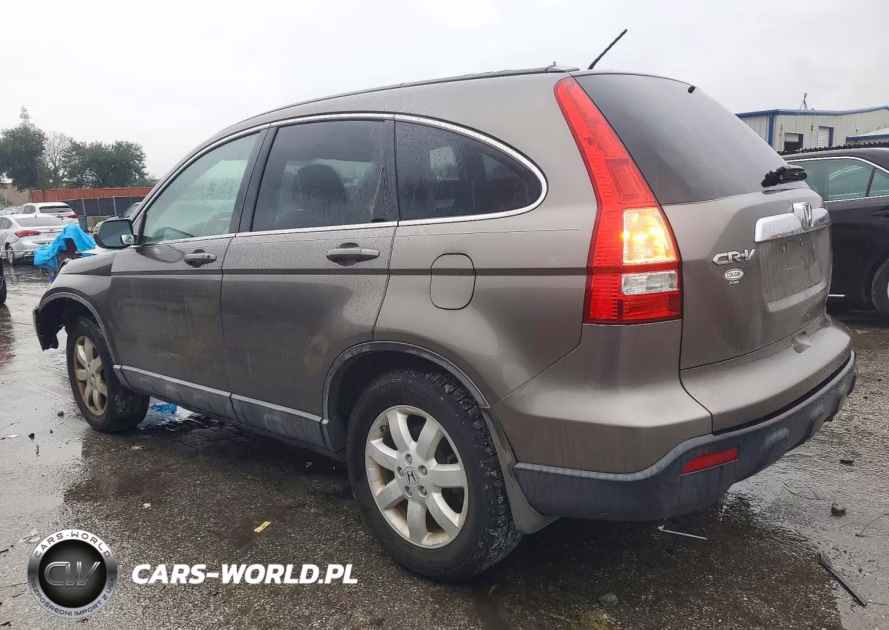 2009 Honda Cr-V Exl VIN:5J6RE38759L005423 - 2