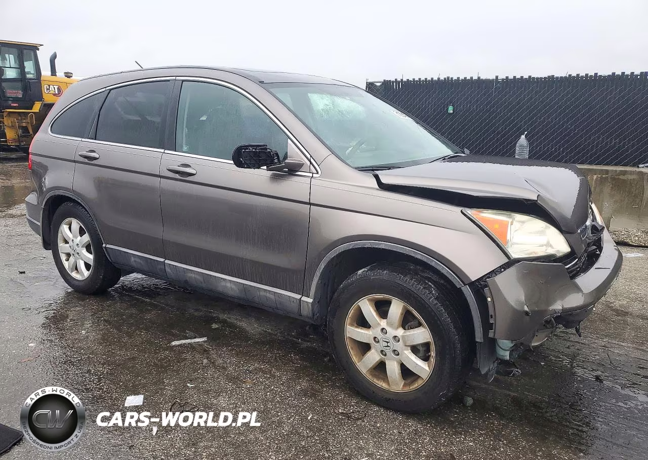 2009 Honda Cr-V Exl VIN:5J6RE38759L005423 - 4