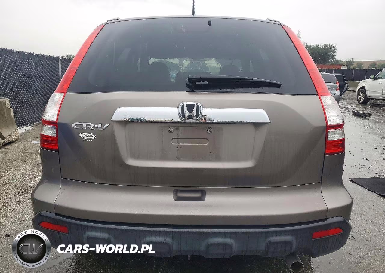 2009 Honda Cr-V Exl VIN:5J6RE38759L005423 - 6