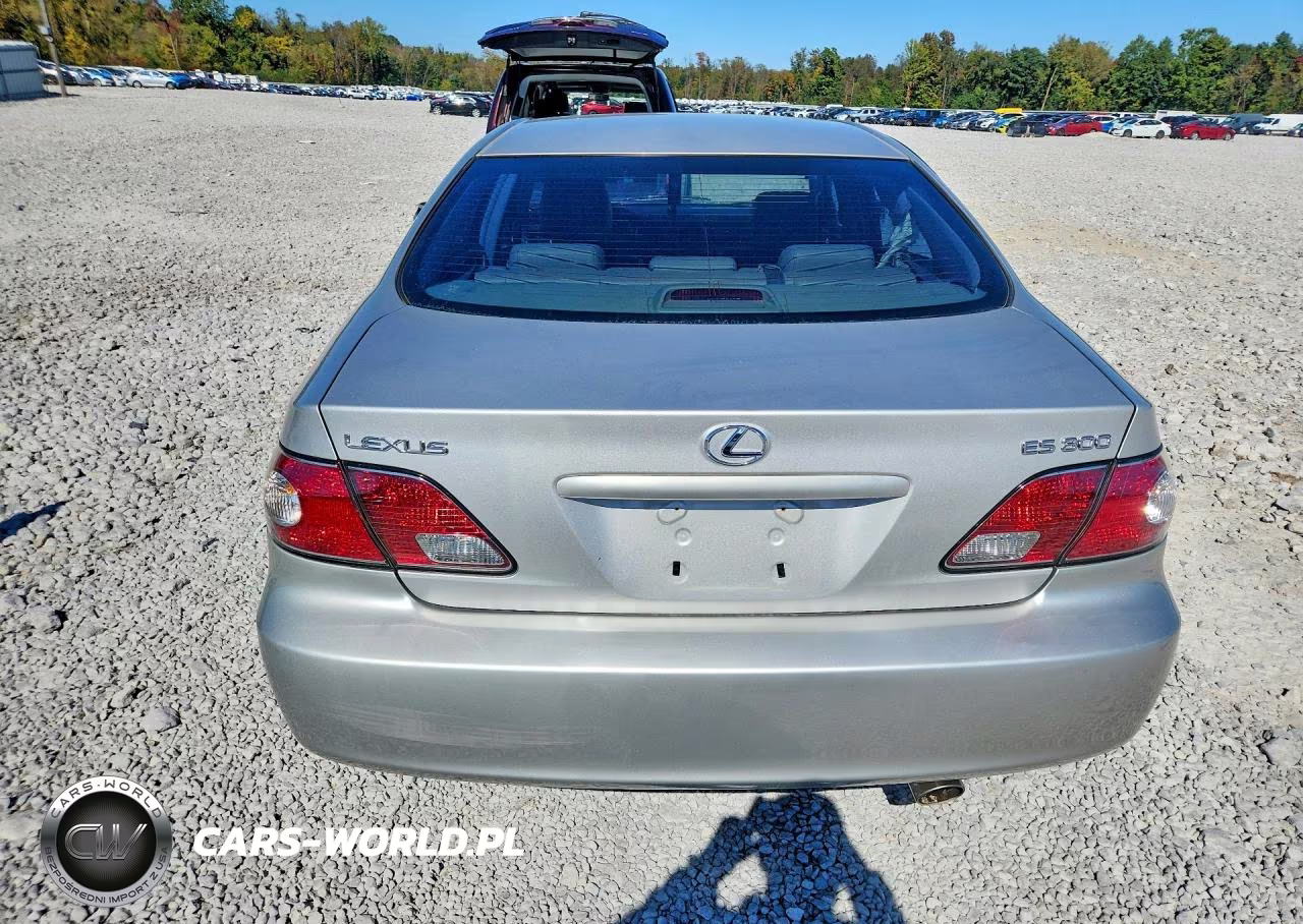 2003 Lexus Es 300 VIN:JTHBF30GX30119344 - 6
