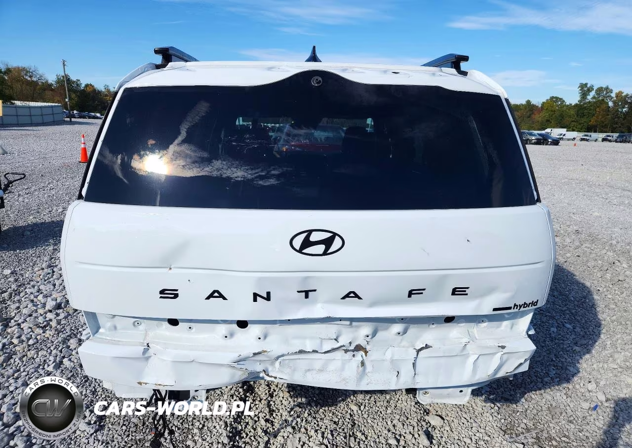 2026 Hyundai Santa Fe Calligraphy VIN:5NMP5DG10TH099946 - 6