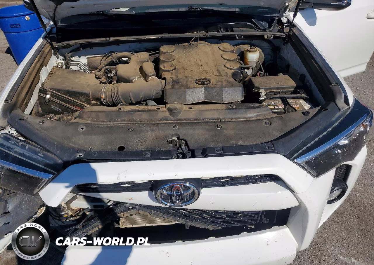 2019 Toyota 4Runner Sr5 Premium VIN:JTEZU5JR9K5209700 - 12
