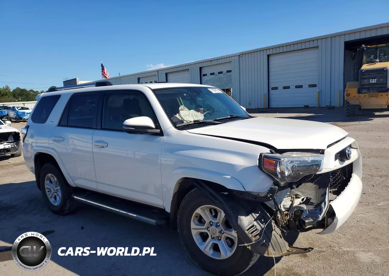 2019 Toyota 4Runner Sr5 Premium VIN:JTEZU5JR9K5209700 - 4