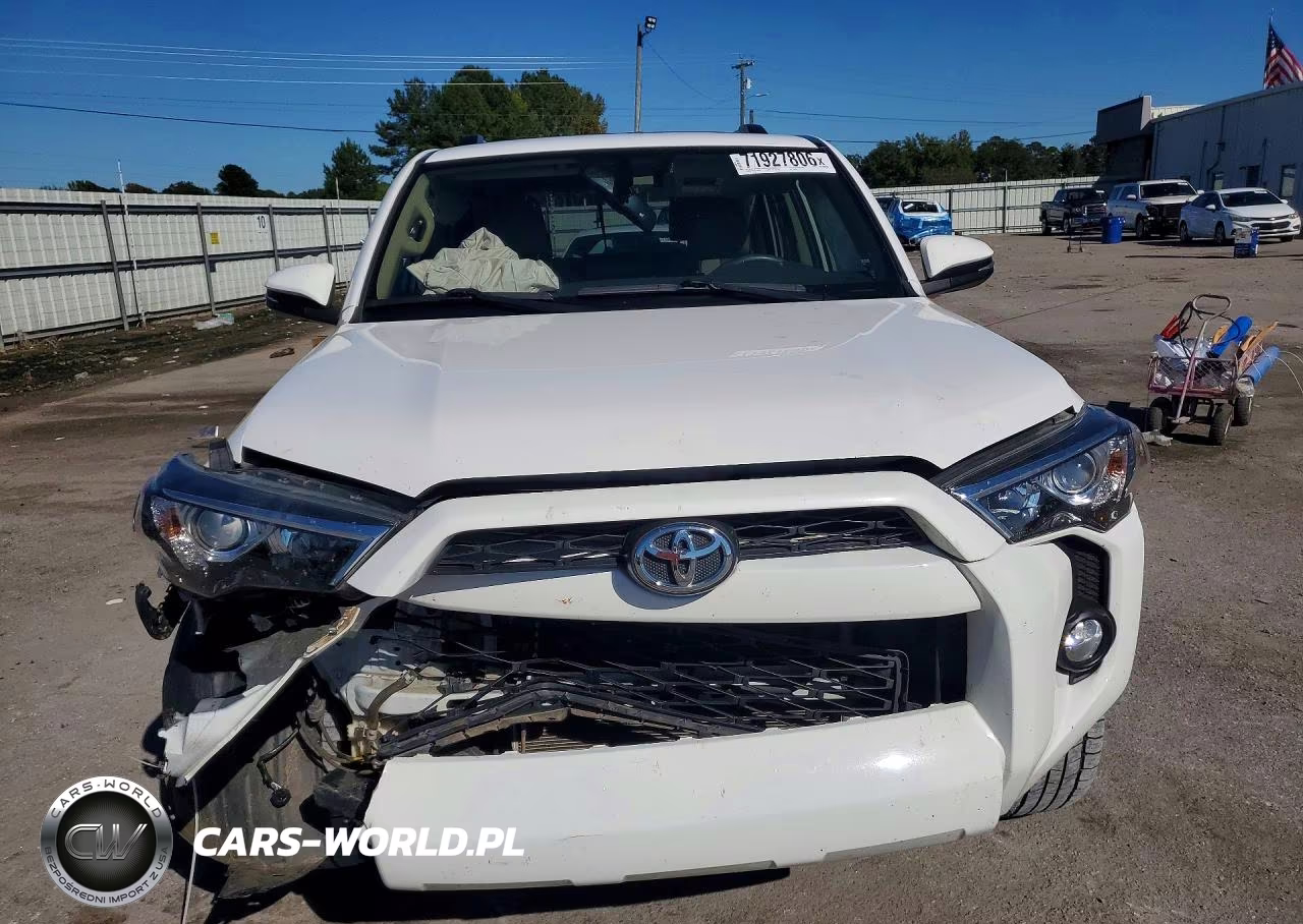 2019 Toyota 4Runner Sr5 Premium VIN:JTEZU5JR9K5209700 - 5