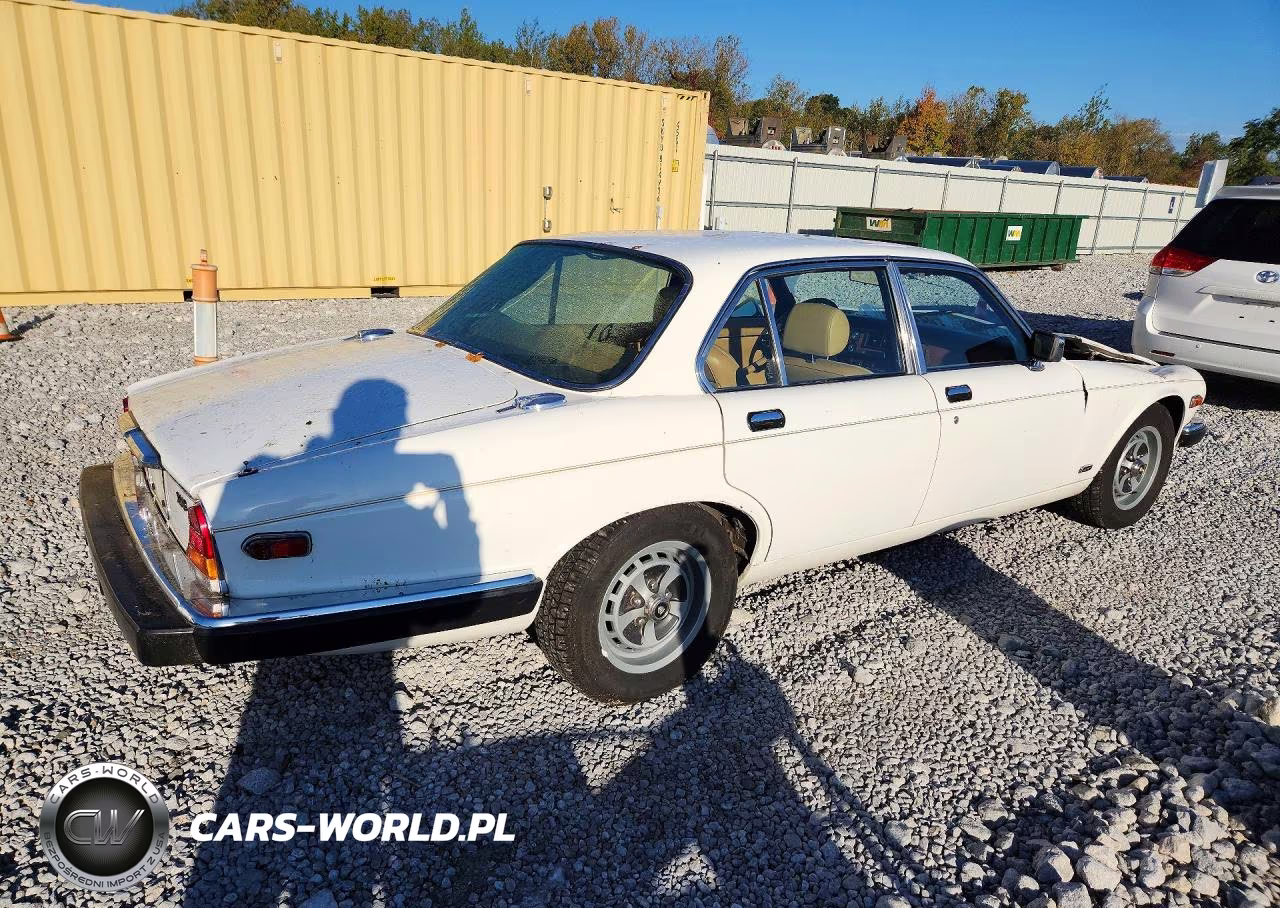 1983 Jaguar Xj6 VIN:SAJAV1349DC352882 - 3