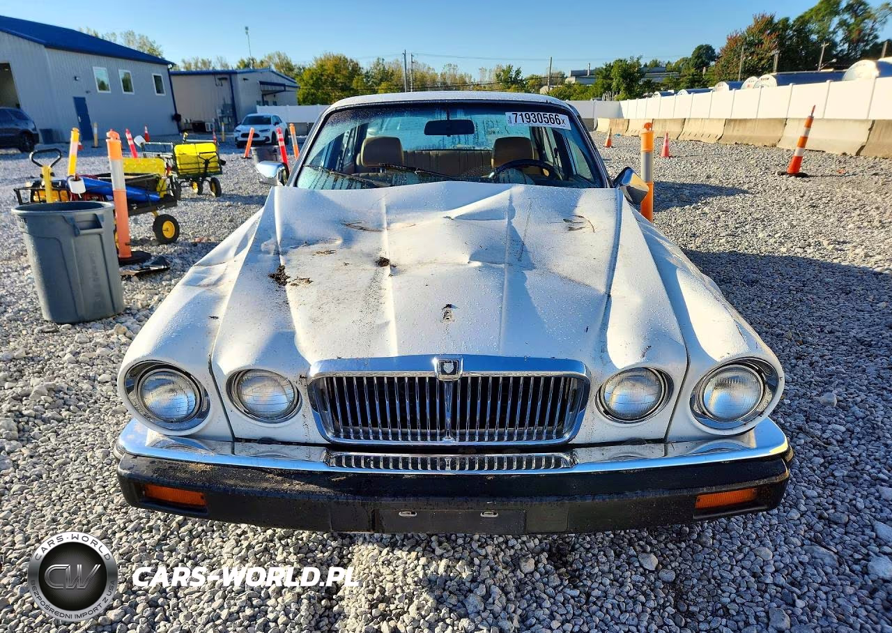 1983 Jaguar Xj6 VIN:SAJAV1349DC352882 - 5