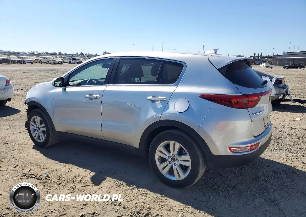 2019 Kia Sportage Lx VIN:KNDPM3AC7K7526827 - 2