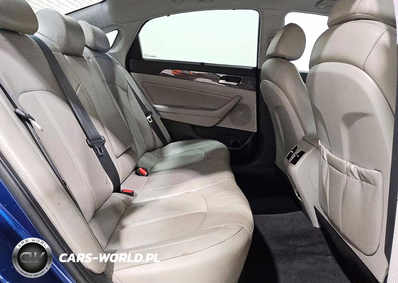 2019 Hyundai Sonata Limited VIN:5NPE34AF9KH815147 - 10