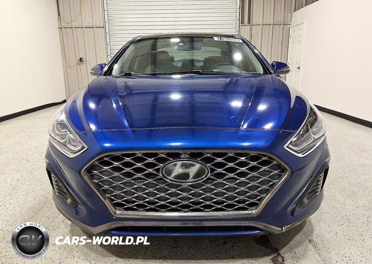 2019 Hyundai Sonata Limited VIN:5NPE34AF9KH815147 - 5