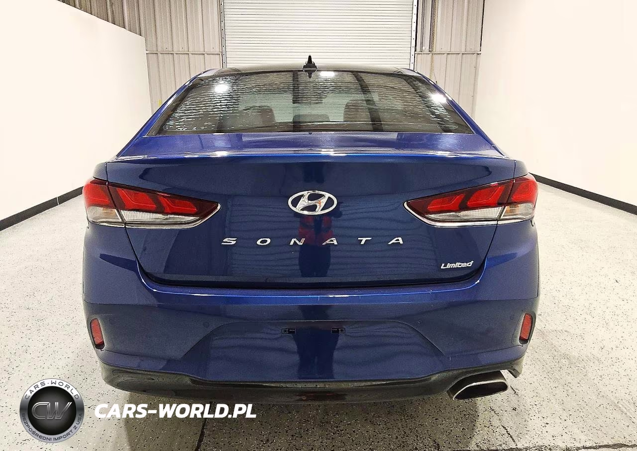 2019 Hyundai Sonata Limited VIN:5NPE34AF9KH815147 - 6