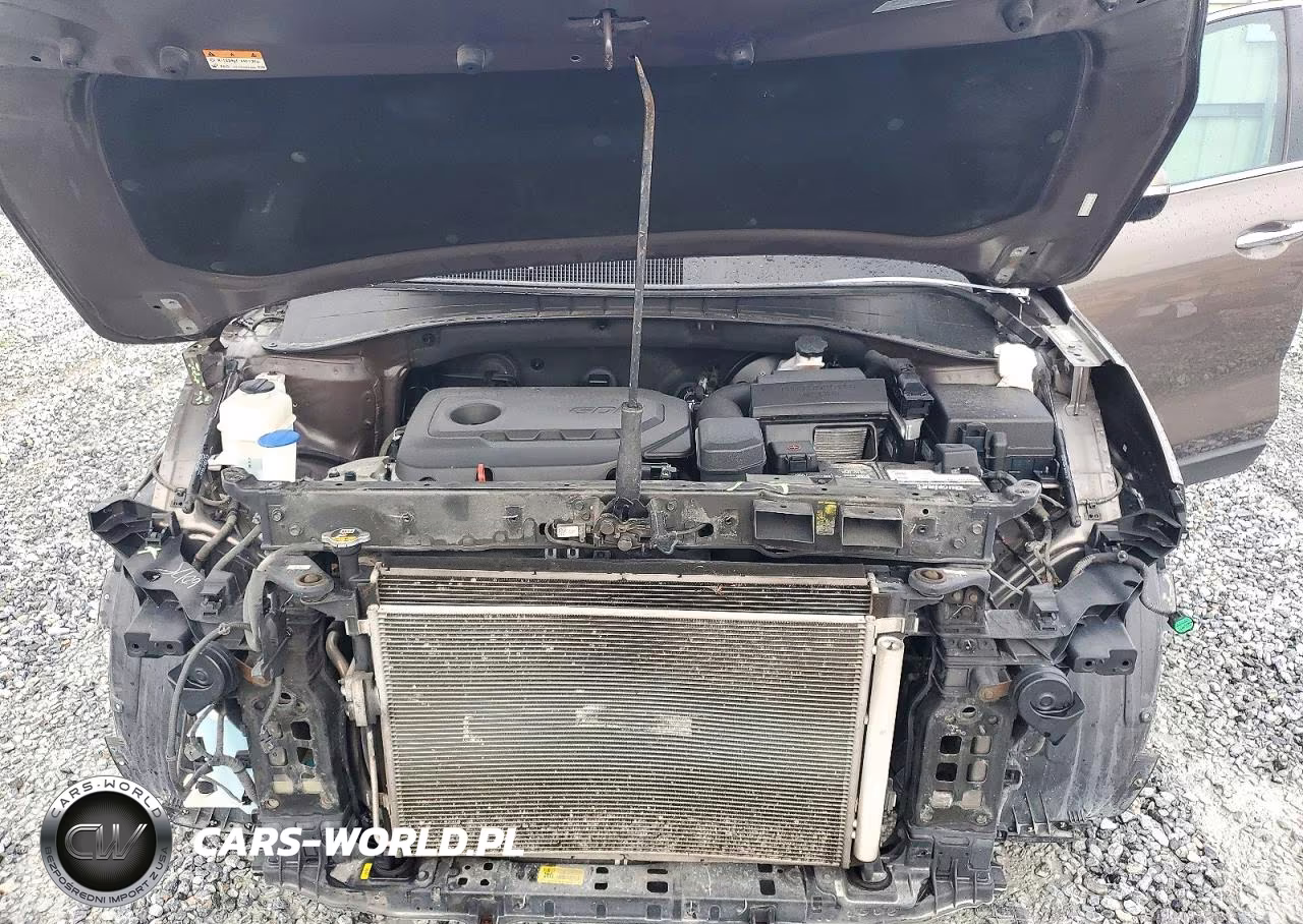 2019 Kia Sorento Lx VIN:5XYPGDA35KG563410 - 12