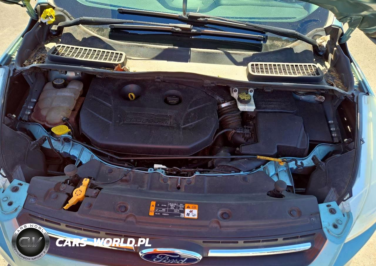 2013 Ford Escape Se VIN:1FMCU0G96DUB36388 - 12