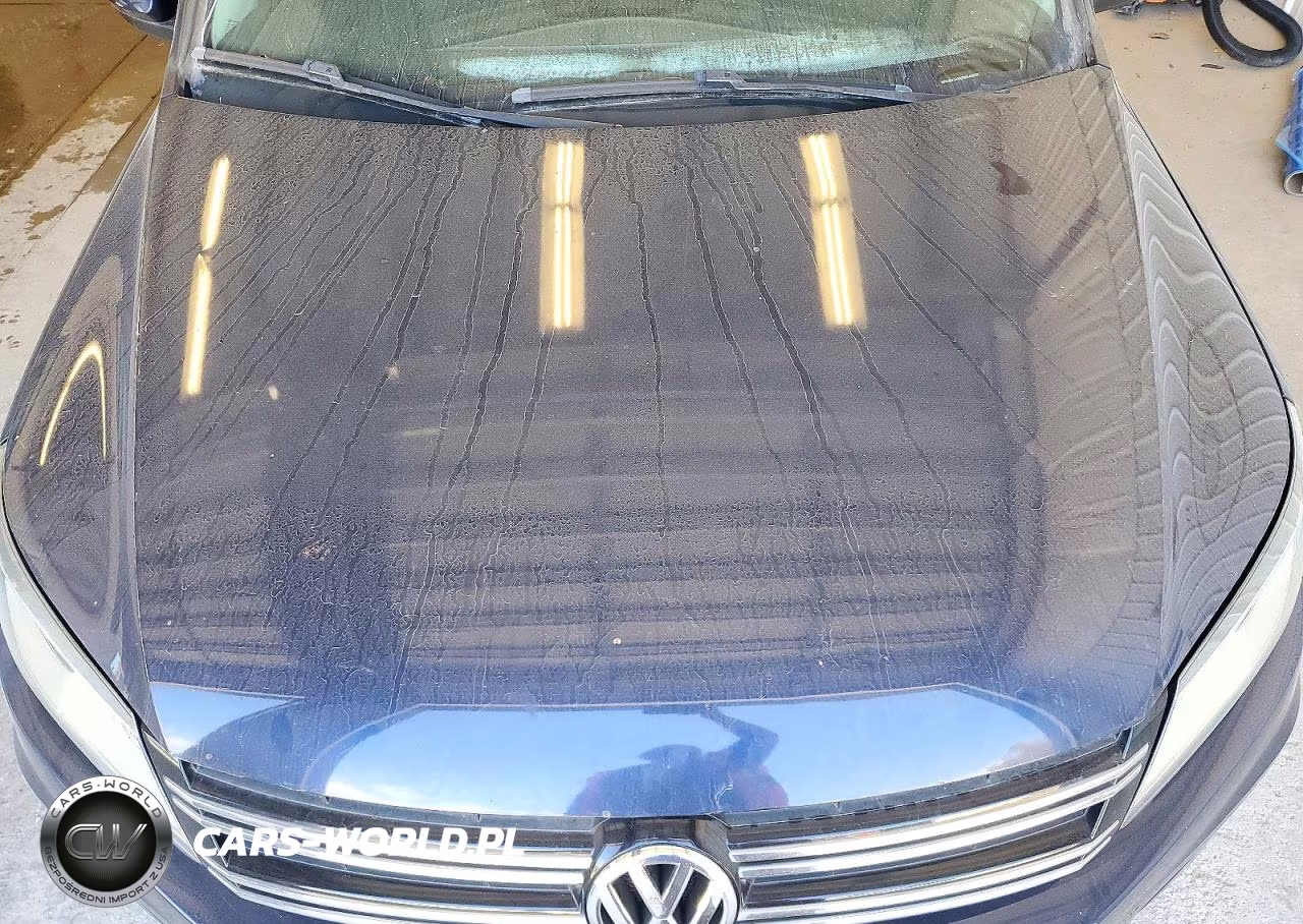 2013 VOLKSWAGEN TIGUAN S VIN:WVGBV7AX3DW546966 - 12