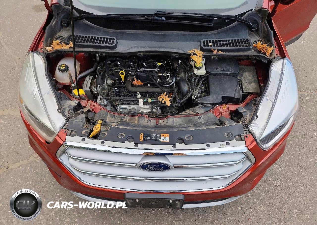 2019 Ford Escape Se VIN:1FMCU9GD5KUC54356 - 12