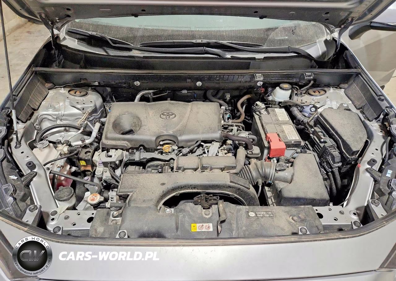 2019 Toyota Rav4 Le VIN:2T3G1RFV9KW056701 - 12