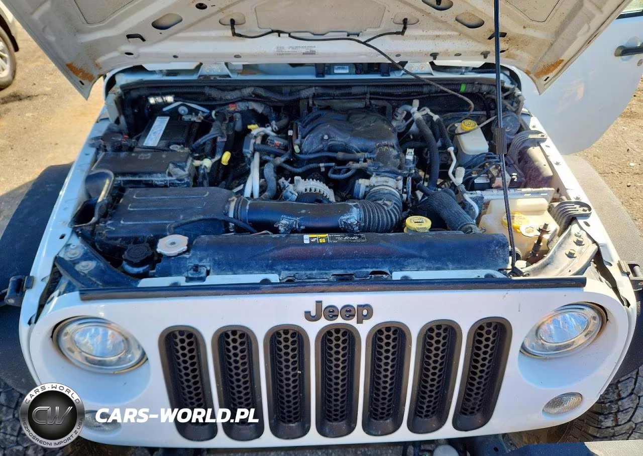 2017 Jeep Wrangler Unlimited Sport VIN:1C4BJWDG2HL725822 - 11