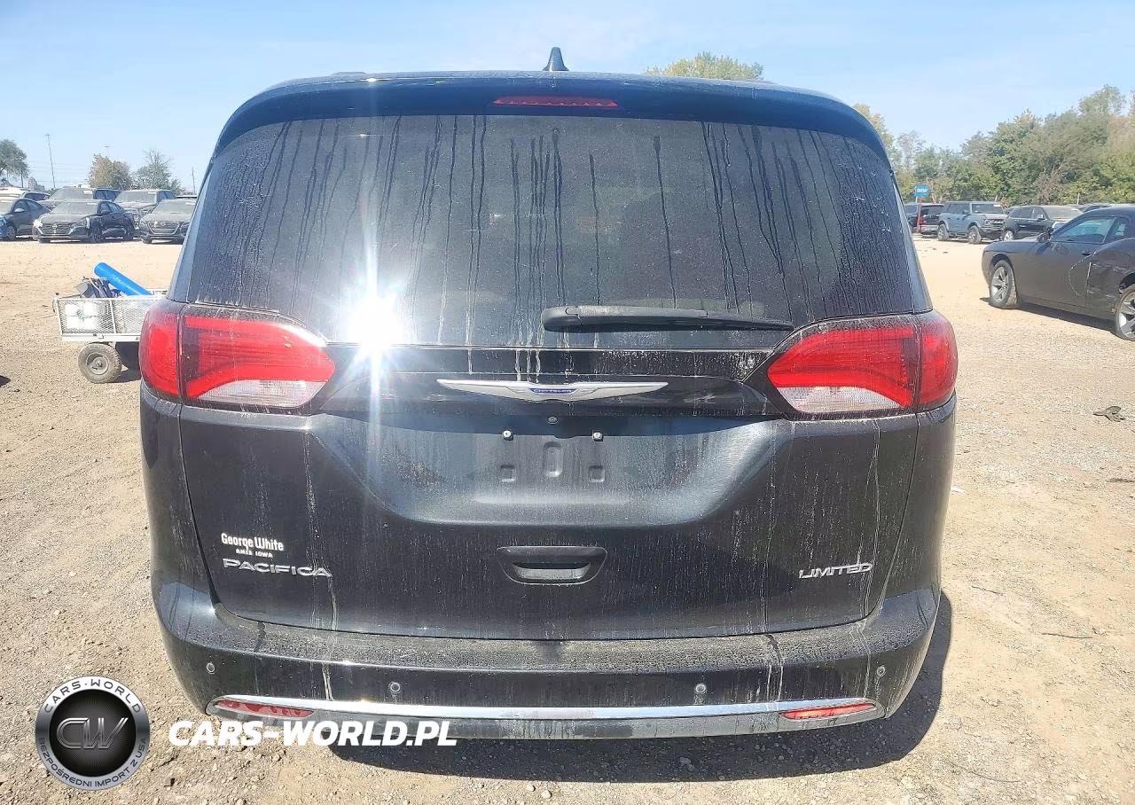 2020 Chrysler Pacifica Limited VIN:2C4RC1GG4LR197434 - 6