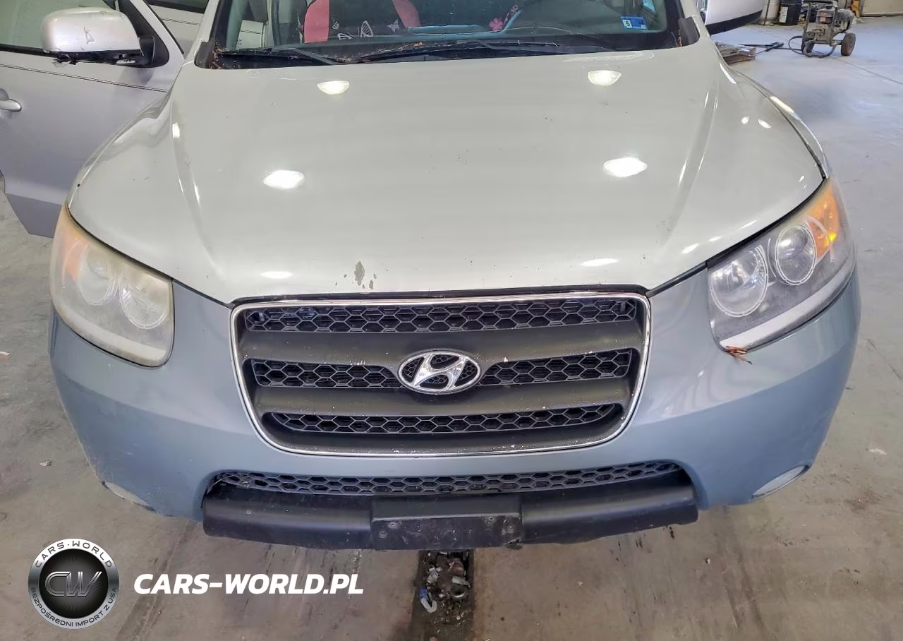 2012 Hyundai Santa Fe Se VIN:5XYZHDAG4CG108820 - 11