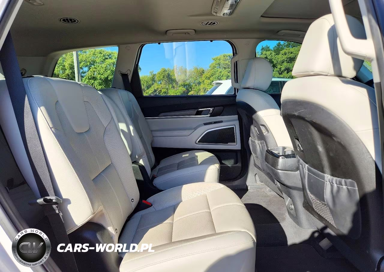 2021 Kia Telluride Ex VIN:5XYP3DHC2MG190864 - 11