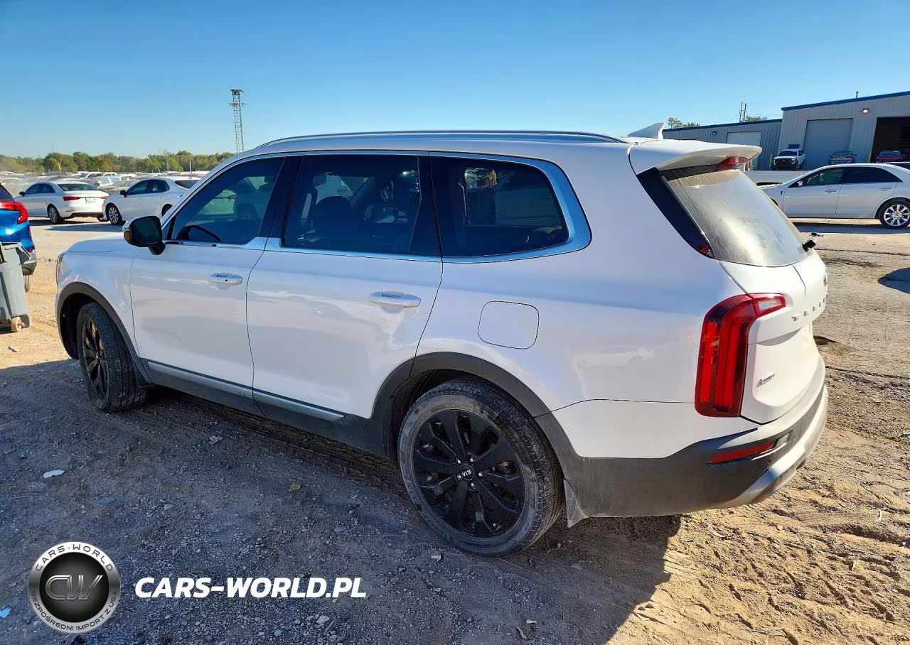 2021 Kia Telluride Ex VIN:5XYP3DHC2MG190864 - 2