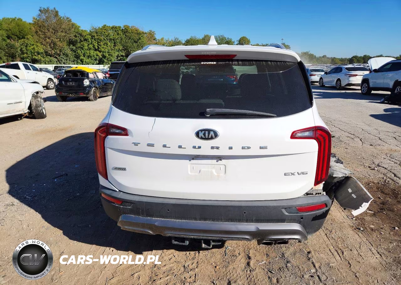 2021 Kia Telluride Ex VIN:5XYP3DHC2MG190864 - 6