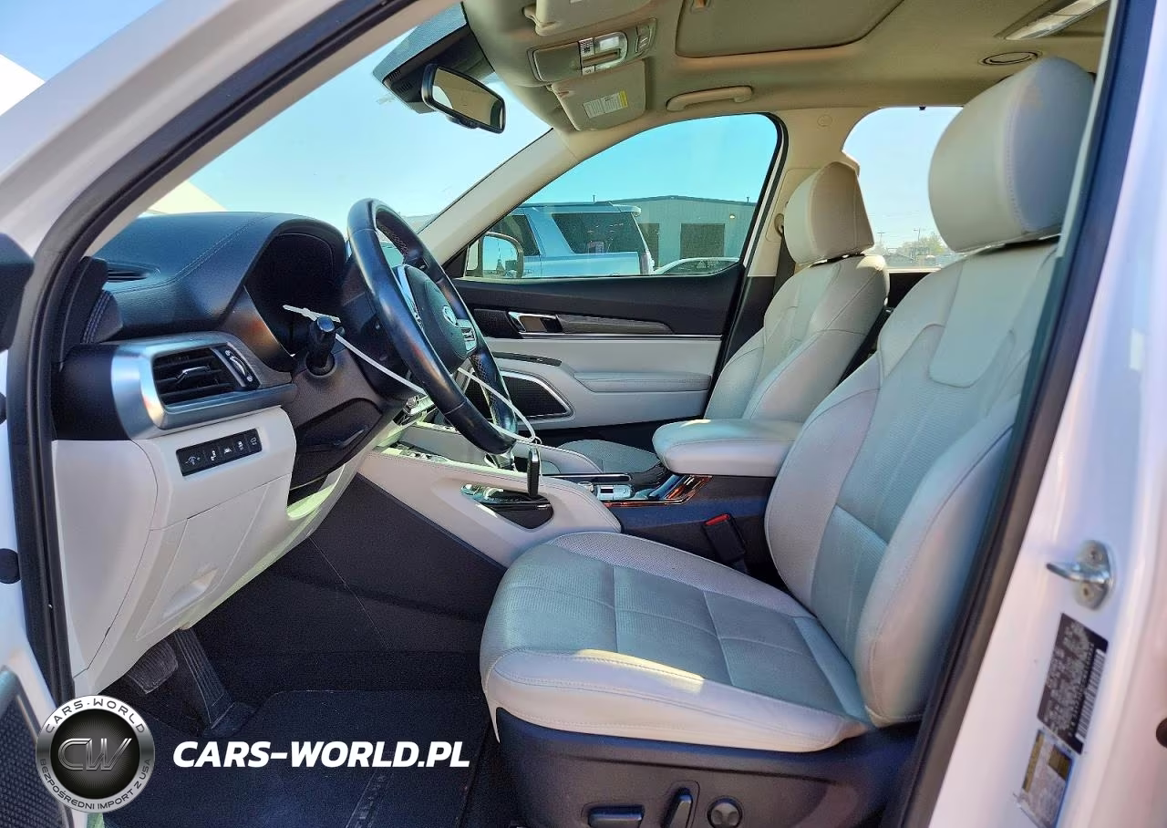 2021 Kia Telluride Ex VIN:5XYP3DHC2MG190864 - 7