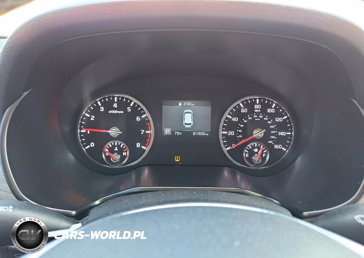 2021 Kia Telluride Ex VIN:5XYP3DHC2MG190864 - 9