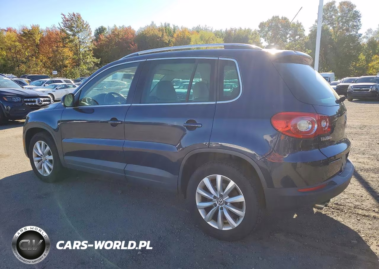 2011 Volkswagen Tiguan S VIN:WVGBV7AX8BW527911 - 2
