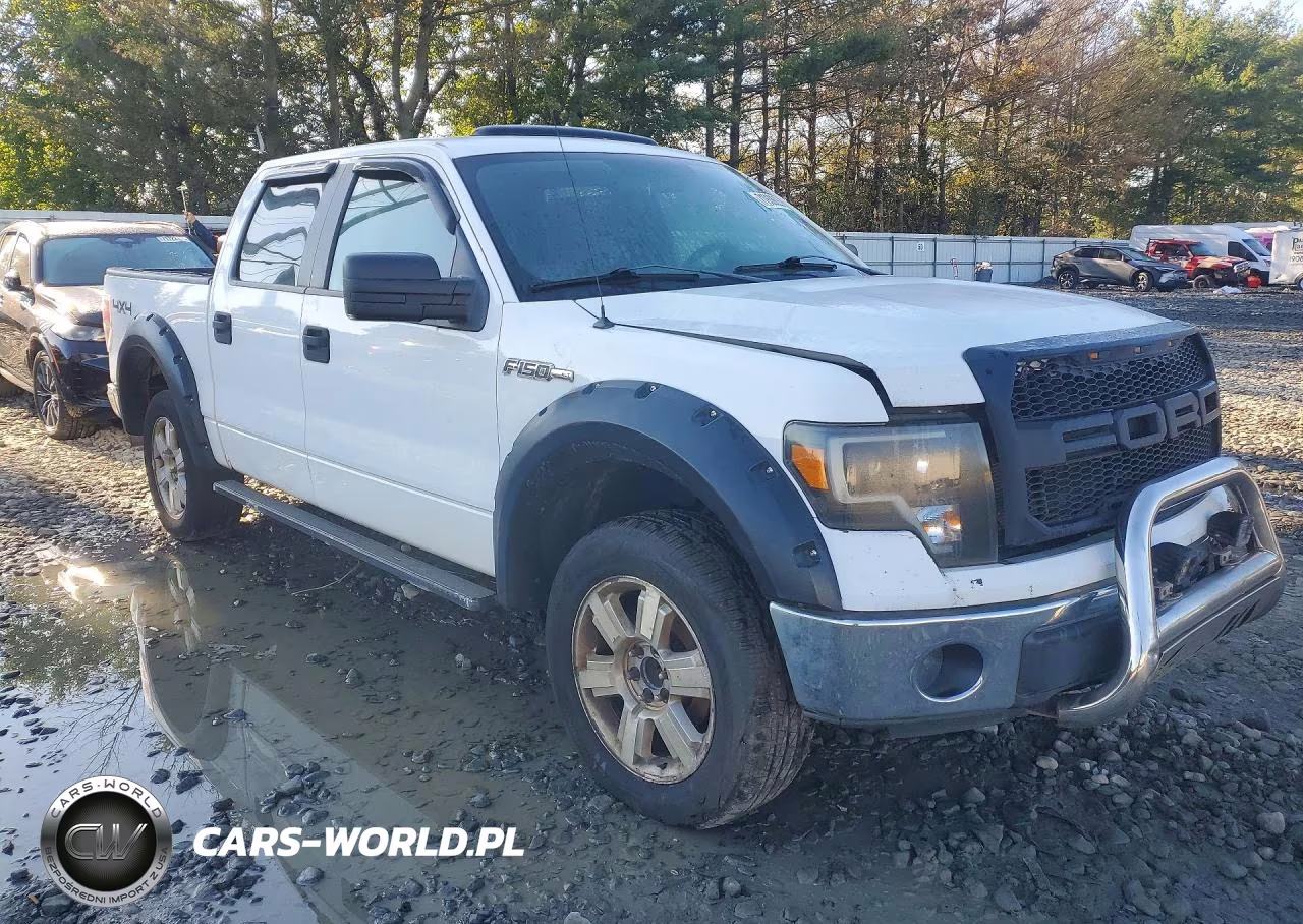 2013 Ford F-150 Xlt VIN:1FTFW1EF9DFB68170 - 4