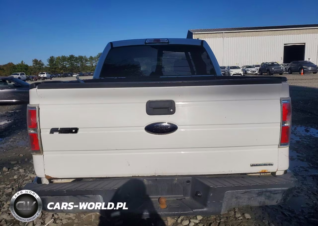 2013 Ford F-150 Xlt VIN:1FTFW1EF9DFB68170 - 6