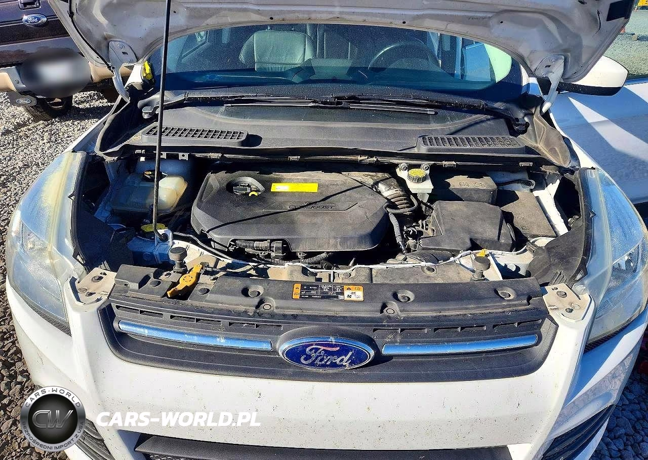 2016 Ford Escape Se VIN:1FMCU0GX6GUC40785 - 11