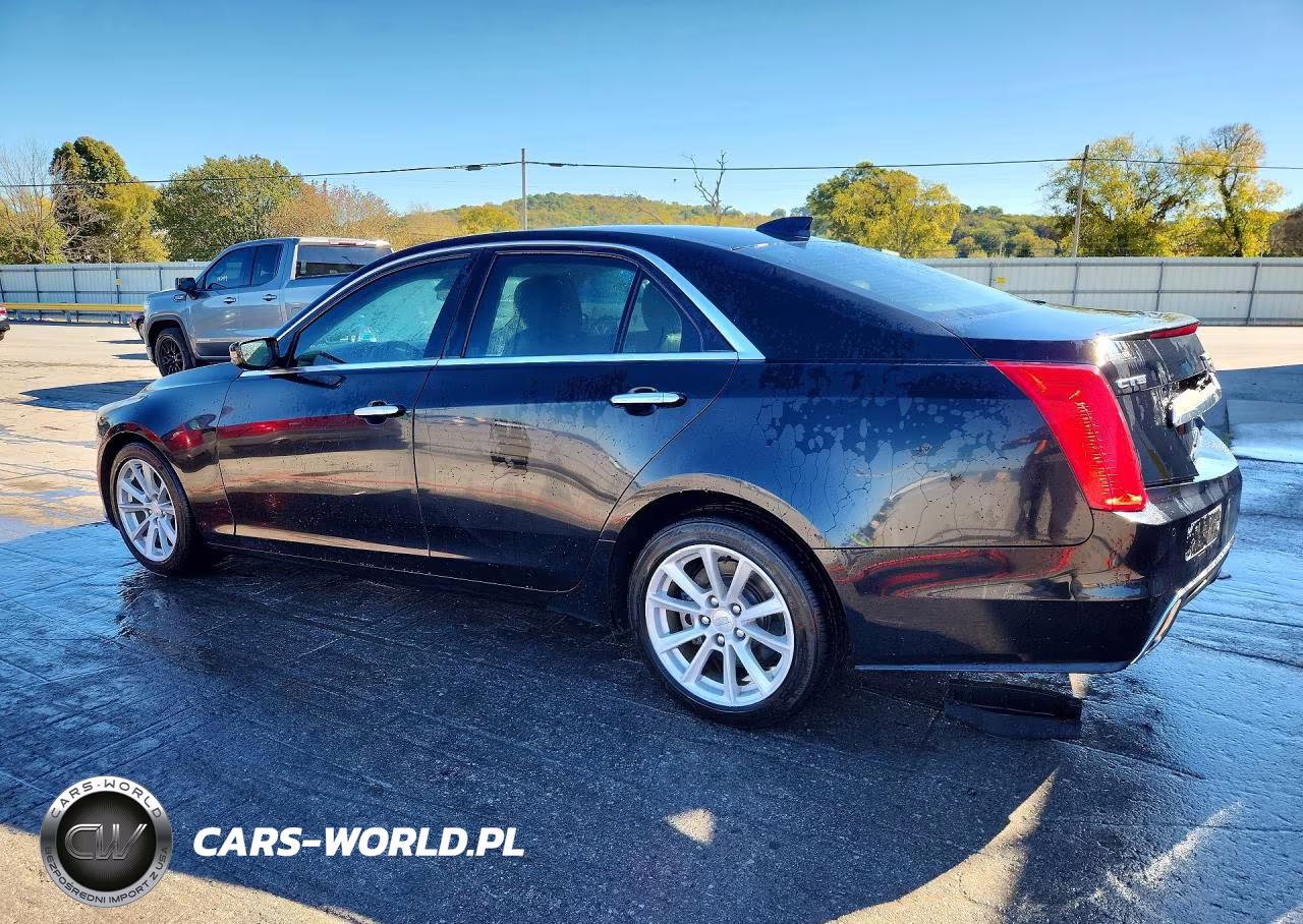 2019 Cadillac Cts VIN:1G6AP5SXXK0116450 - 2