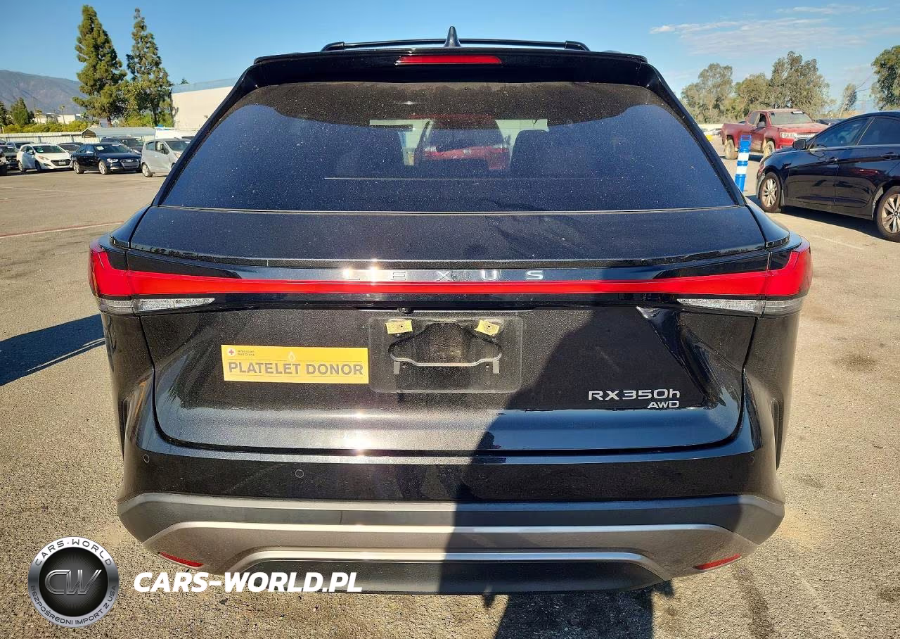 2023 Lexus Rx 350H Premium VIN:2T2BBMCA5PC016088 - 6