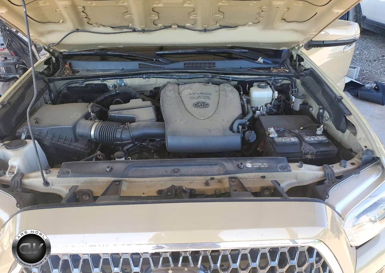 2019 Toyota Tacoma Trd Off-Road VIN:5TFCZ5AN6KX181352 - 11