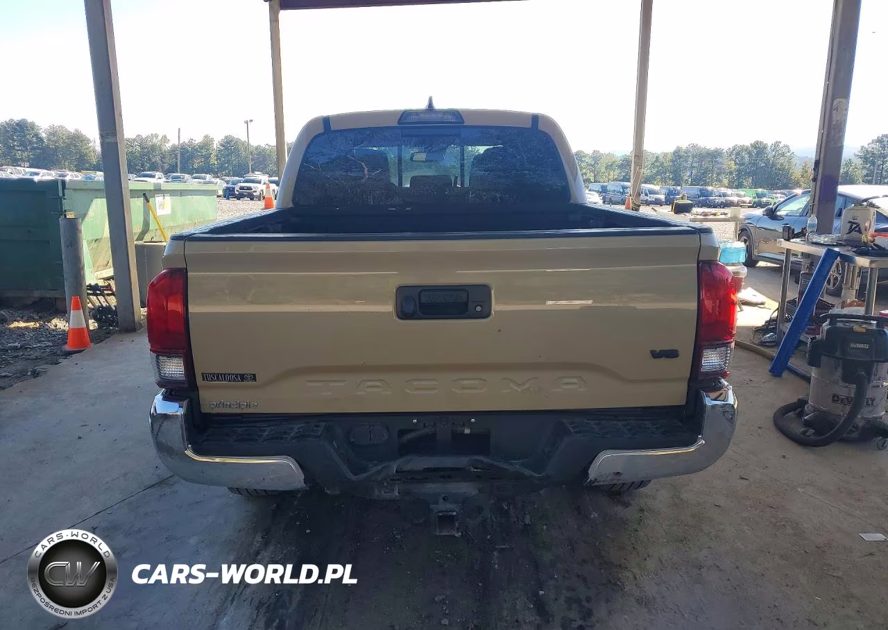2019 Toyota Tacoma Trd Off-Road VIN:5TFCZ5AN6KX181352 - 6