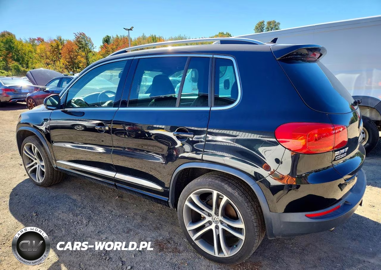 2014 Volkswagen Tiguan S VIN:WVGBV3AX9EW070328 - 2
