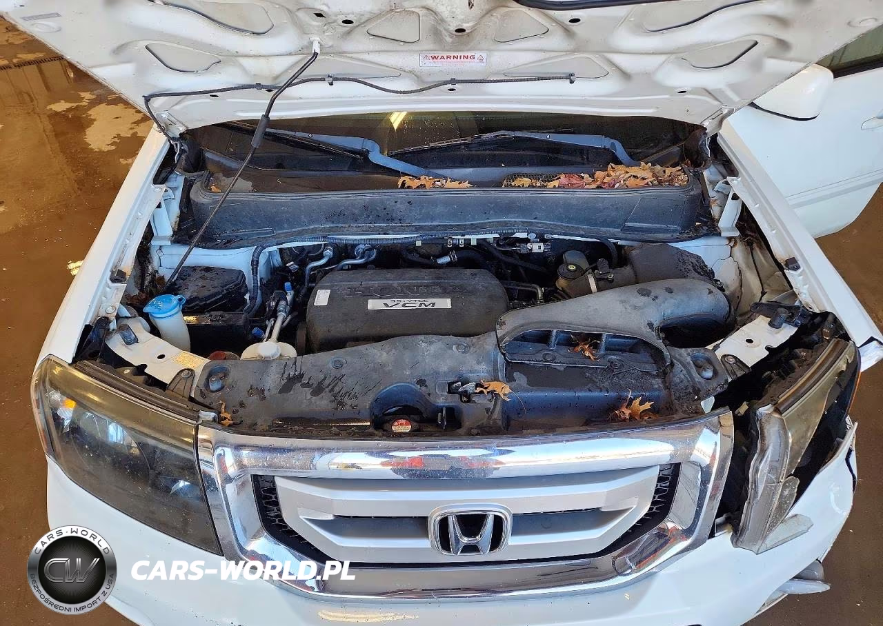 2010 Honda Pilot Exl VIN:5FNYF4H53AB037037 - 12
