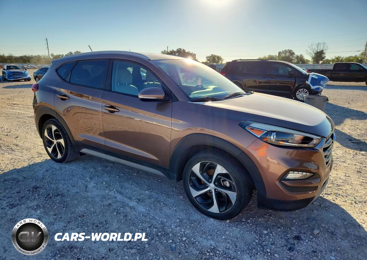 2017 Hyundai Tucson Sport VIN:KM8J33A23HU392761 - 4