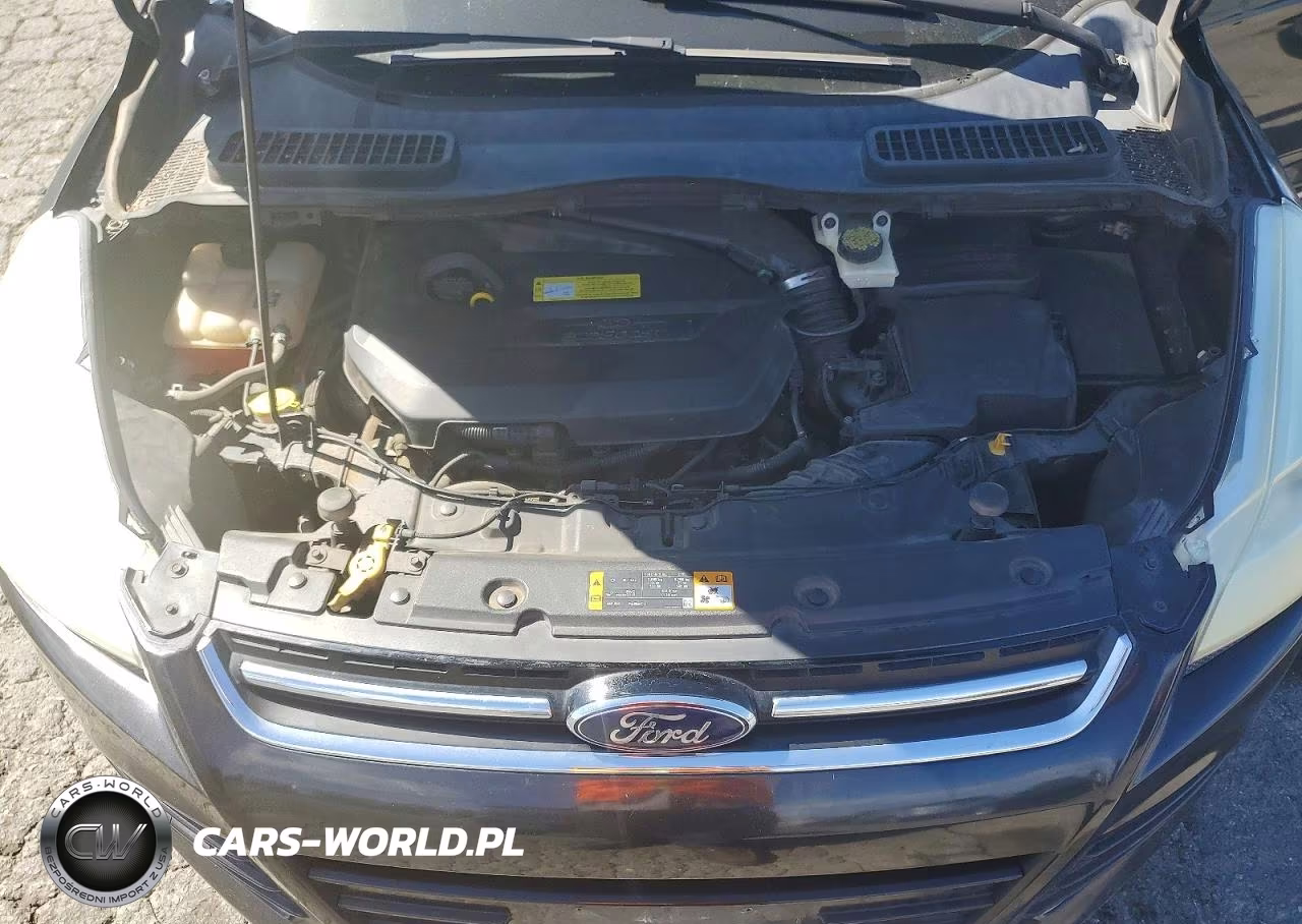 2013 Ford Escape Sel VIN:1FMCU0HX5DUD57459 - 12