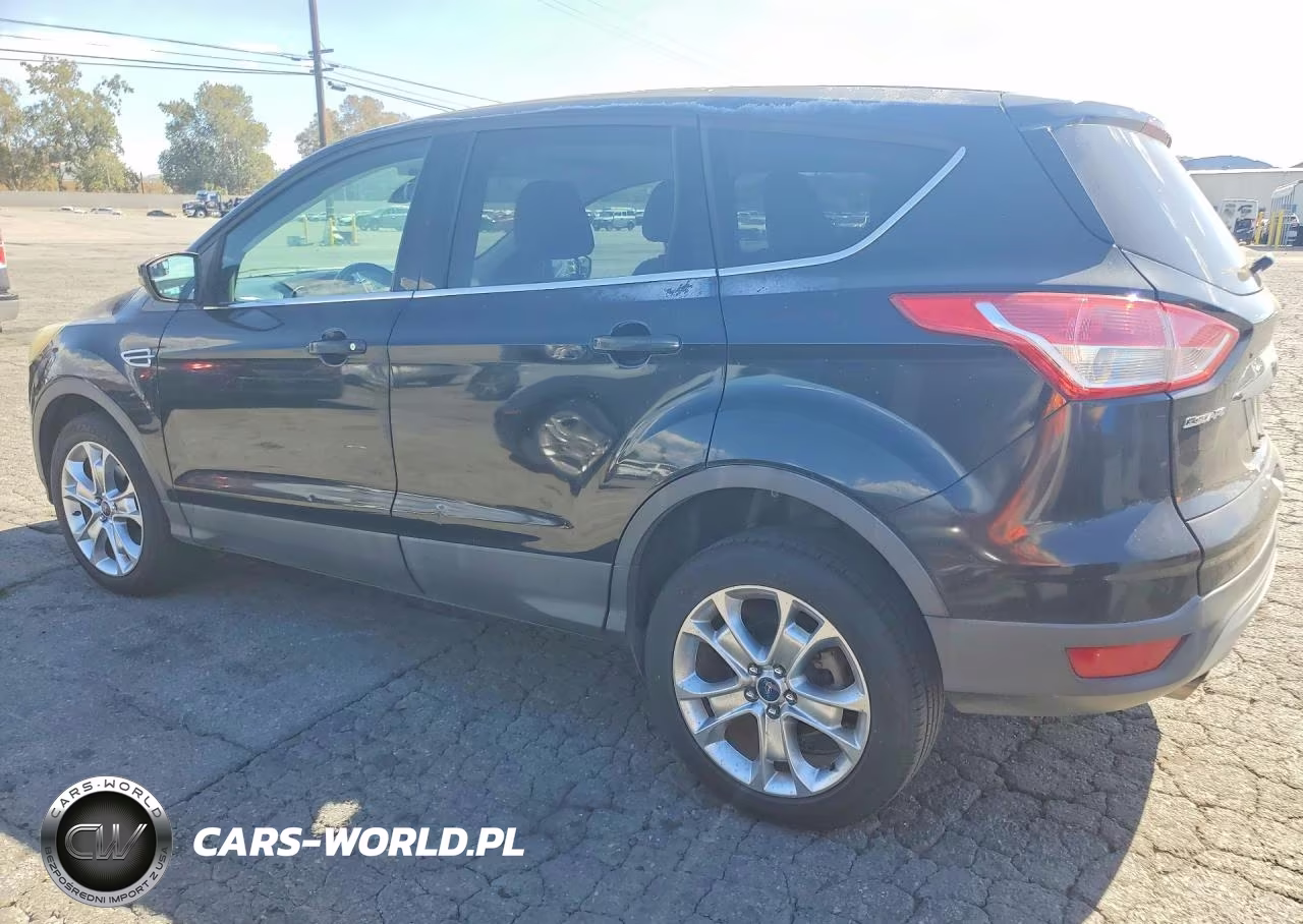 2013 Ford Escape Sel VIN:1FMCU0HX5DUD57459 - 2