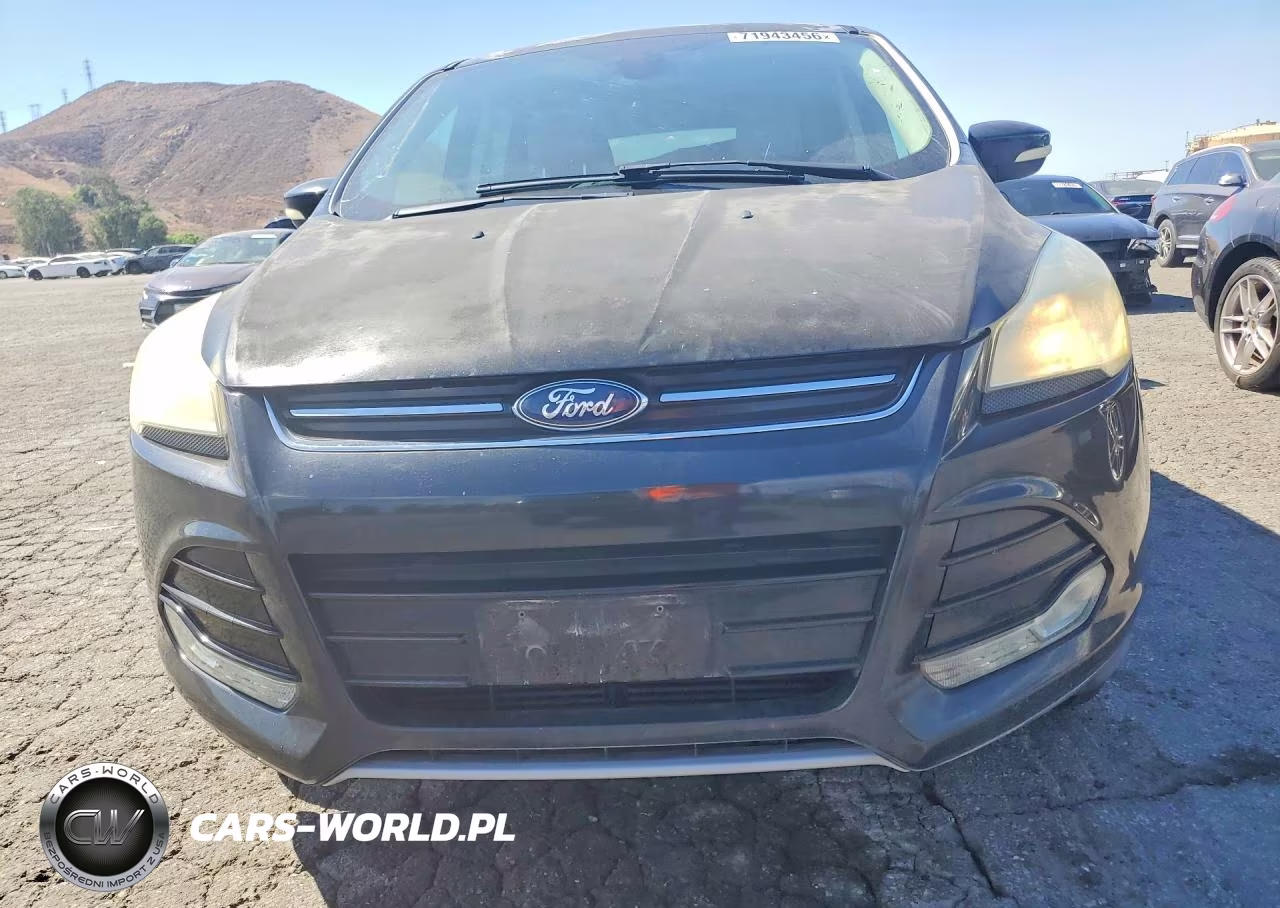 2013 Ford Escape Sel VIN:1FMCU0HX5DUD57459 - 5