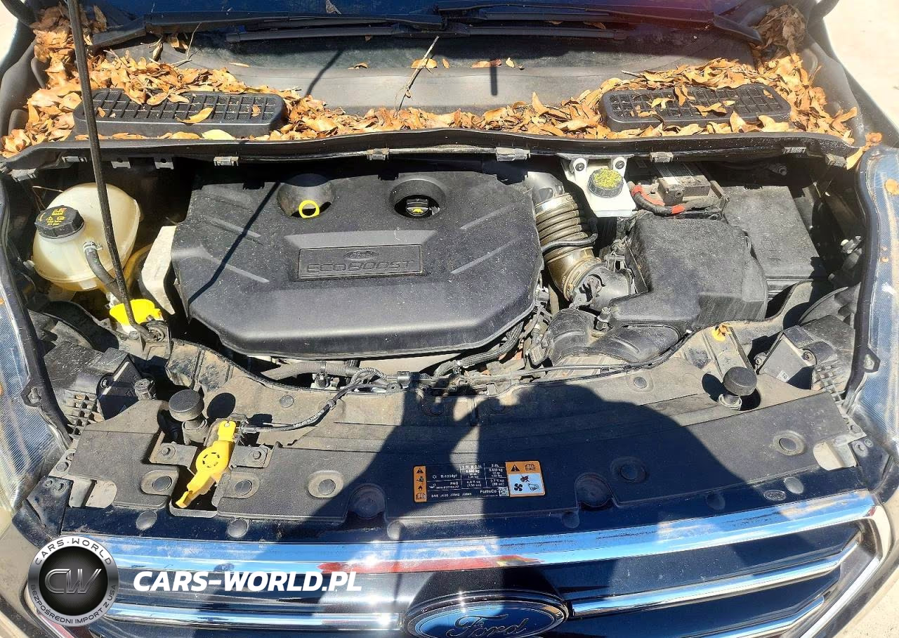 2017 Ford Escape Se VIN:1FMCU0G98HUE30610 - 12