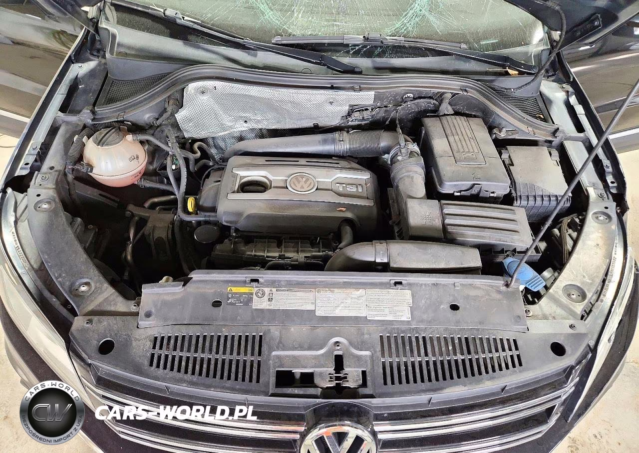 2014 Volkswagen Tiguan S VIN:WVGBV3AX0EW606566 - 12