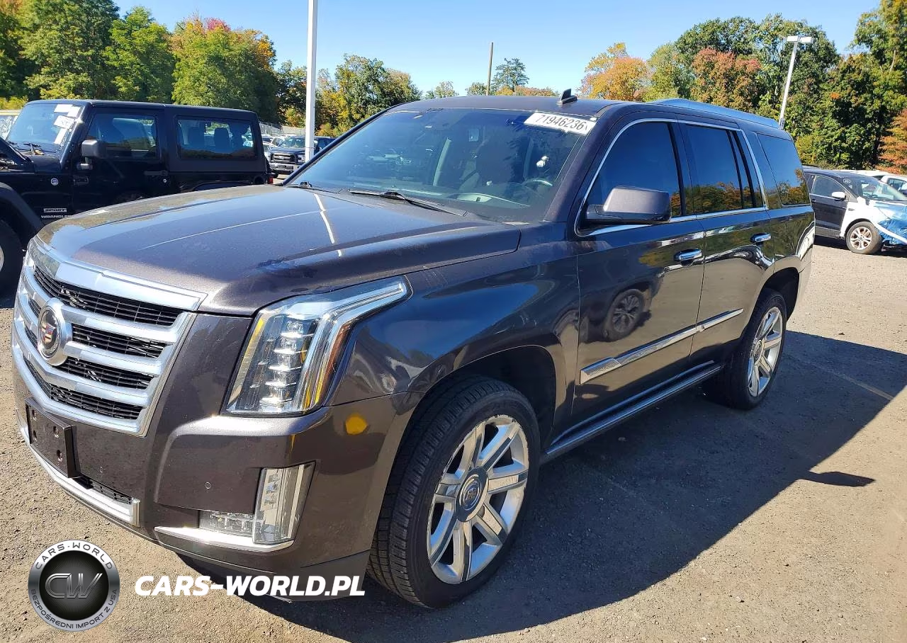 2015 Cadillac Escalade Premium VIN:1GYS4CKJ3FR309223 - 1